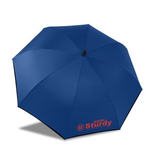 A6283S-極度強悍防雷傘：圖片 3